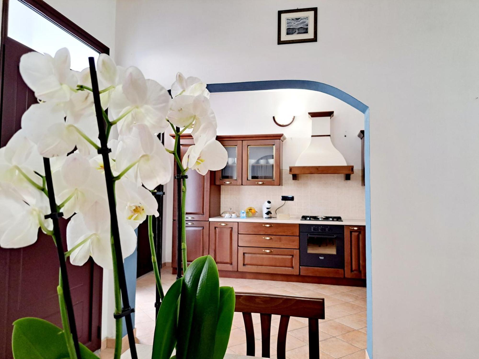 Anninnia Guest House B&B - Ghiiarza Ghilarza Екстер'єр фото